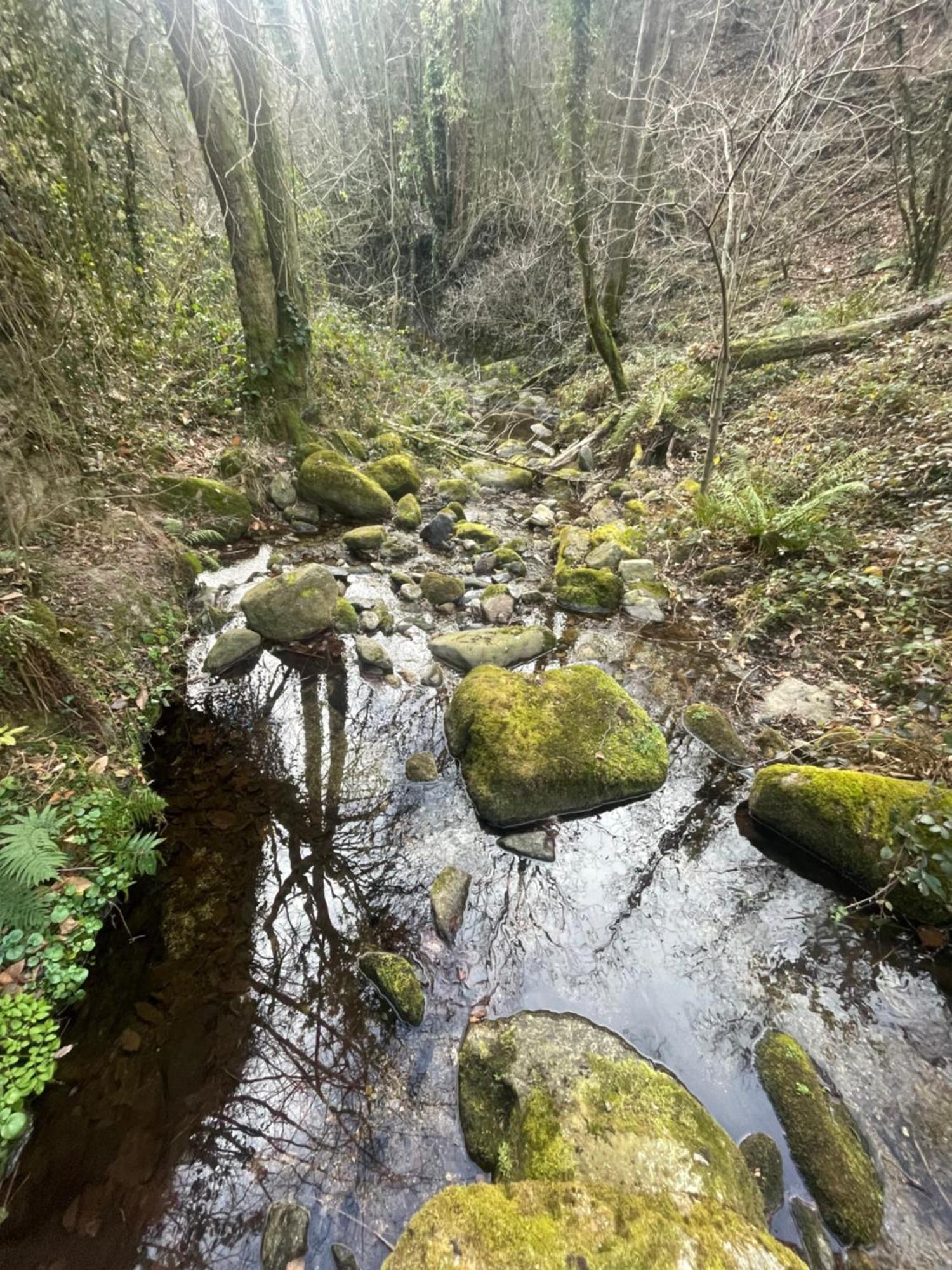 Mas Caraus Appartement Montferrer Buitenkant foto